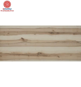 OP MFC---MS-D003-MMCN