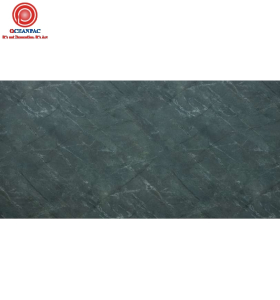 OP MFC---MS-5013-SMM